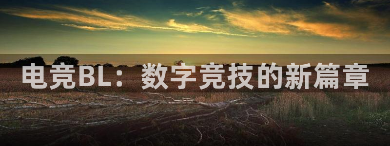 易游电竞王者荣耀大赛：电竞BL：数字竞技的新篇章