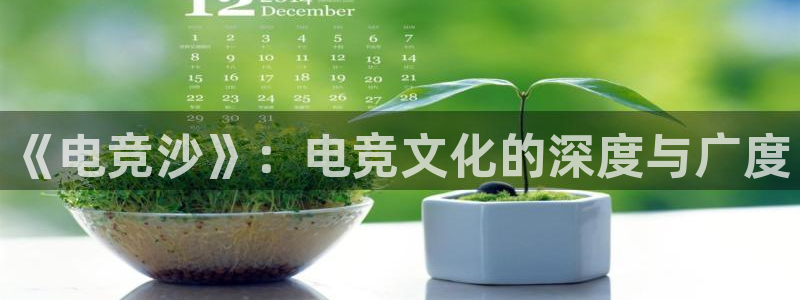易游电竞淮阴区：《电竞沙》：电竞文化的深度与广度