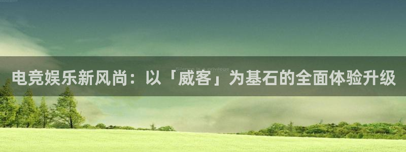 易游电竞解说