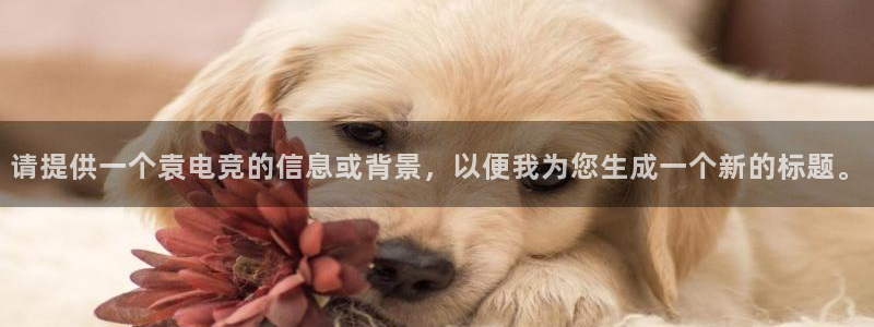 易游电竞解说：请提供一个袁电竞的信息或背景，以便我为您生成一个新的标题。