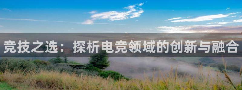 易游电竞网咖：竞技之选：探析电竞领域的创新与融合