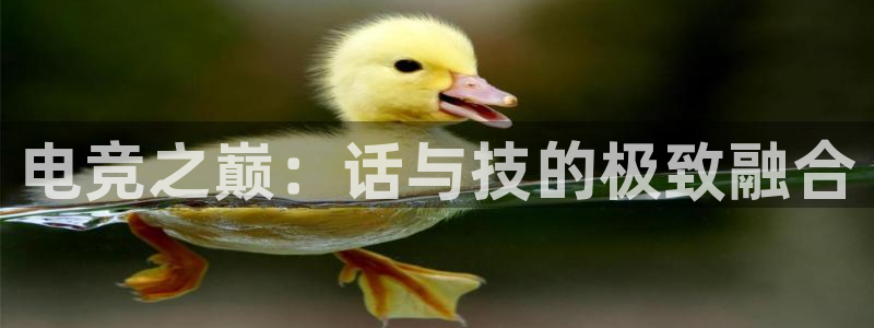 易游电竞酒店：电竞之巅：话与技的极致融合