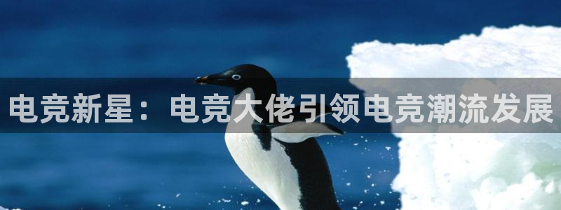 易游电竞网咖：电竞新星：电竞大佬引领电竞潮流发展