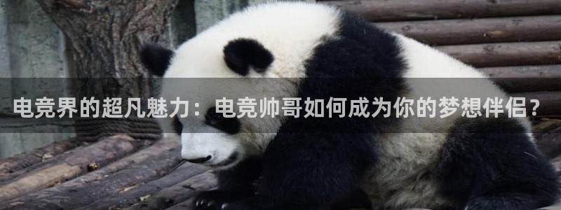 易游电竞馆：电竞界的超凡魅力：电竞帅哥如何成为你的梦想伴侣？
