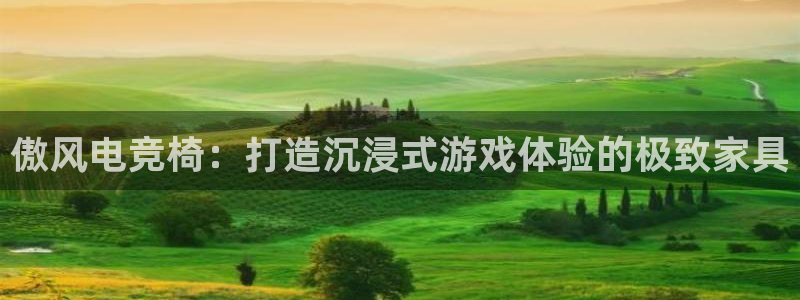 易游电竞官网：傲风电竞椅：打造沉浸式游戏体验的极致家具
