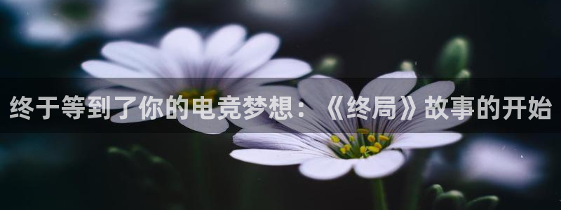 易游电竞馆：终于等到了你的电竞梦想：《终局》故事的开始