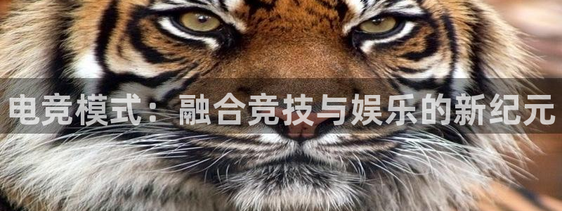 易游电竞中国区：电竞模式：融合竞技与娱乐的新纪元
