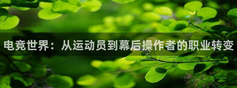 易游电竞淮阴区：电竞世界：从运动员到幕后操作者的职业转变